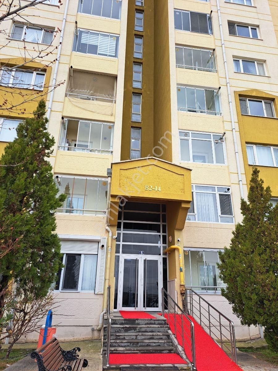 Turkuaz'da Ticaret Merkezi Yakını Eşyalı 2+1 - Görsel 17