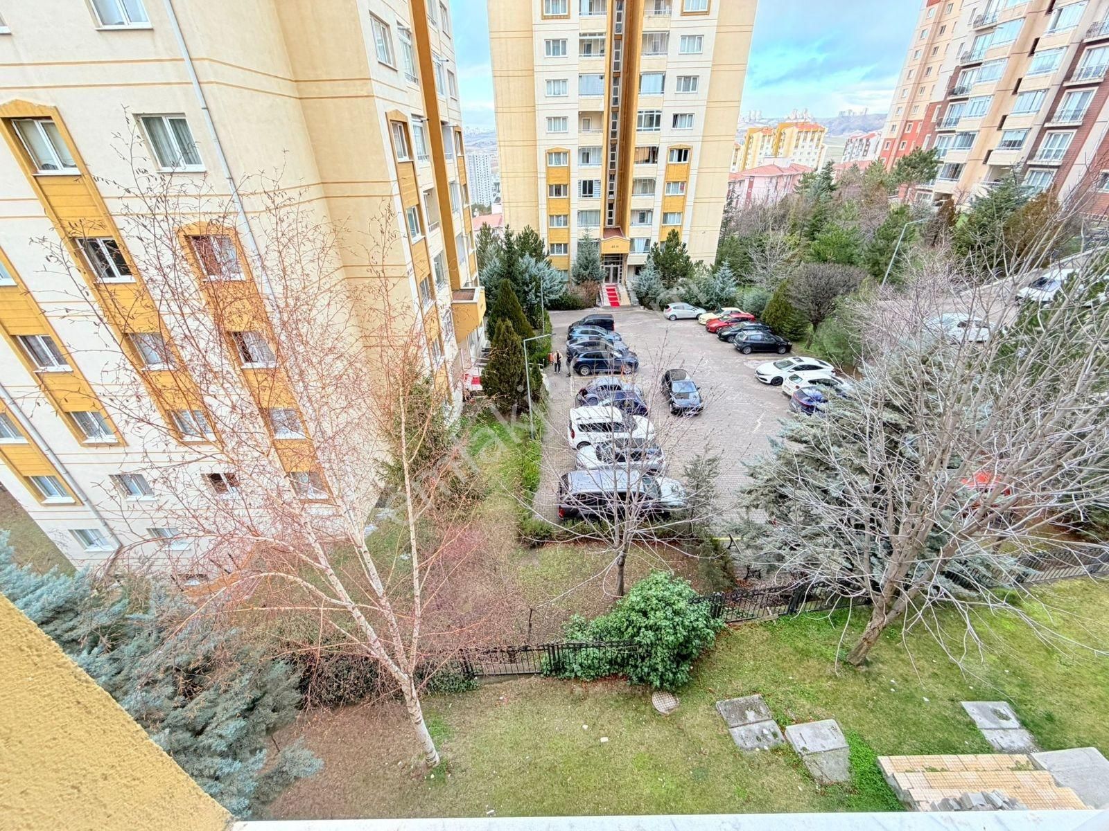 Turkuaz'da Spor Komkleksi Yakını Boş 2+1 - Görsel 15