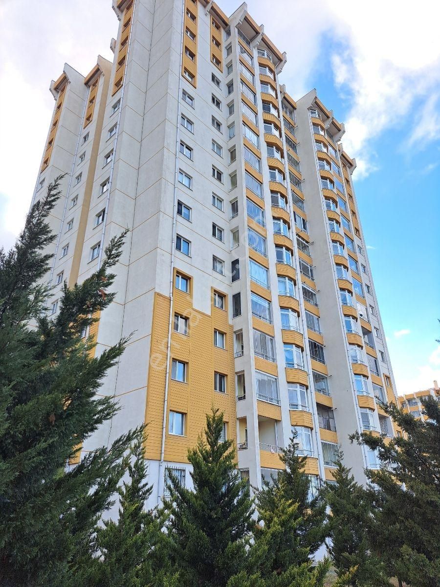 Turkuaz'da Mükemmel Konumda Boş Kullanıma Hazır 4+1 - Görsel 18