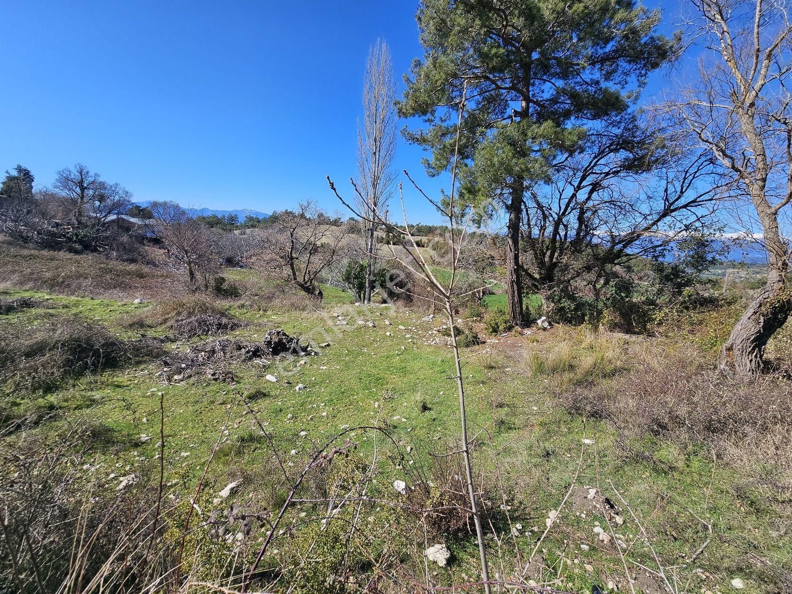 Seydikemer Yaka Mahallesinde Satılık 1163 M2 Arazi - Görsel 19