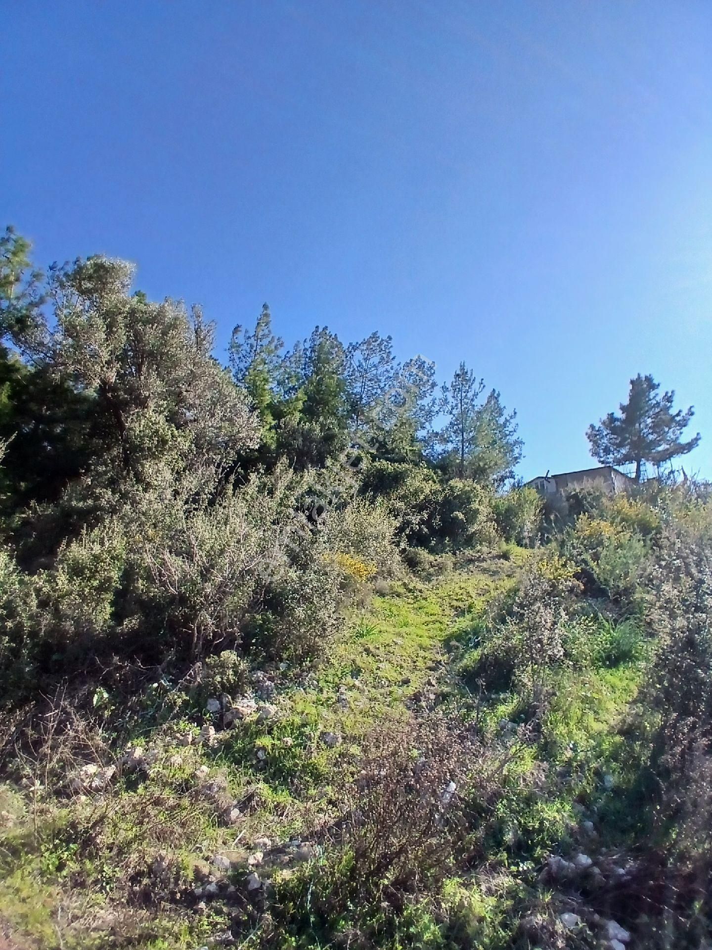 Belen Mahallesinde Satılık 3583 M2 Arsa - Görsel 4