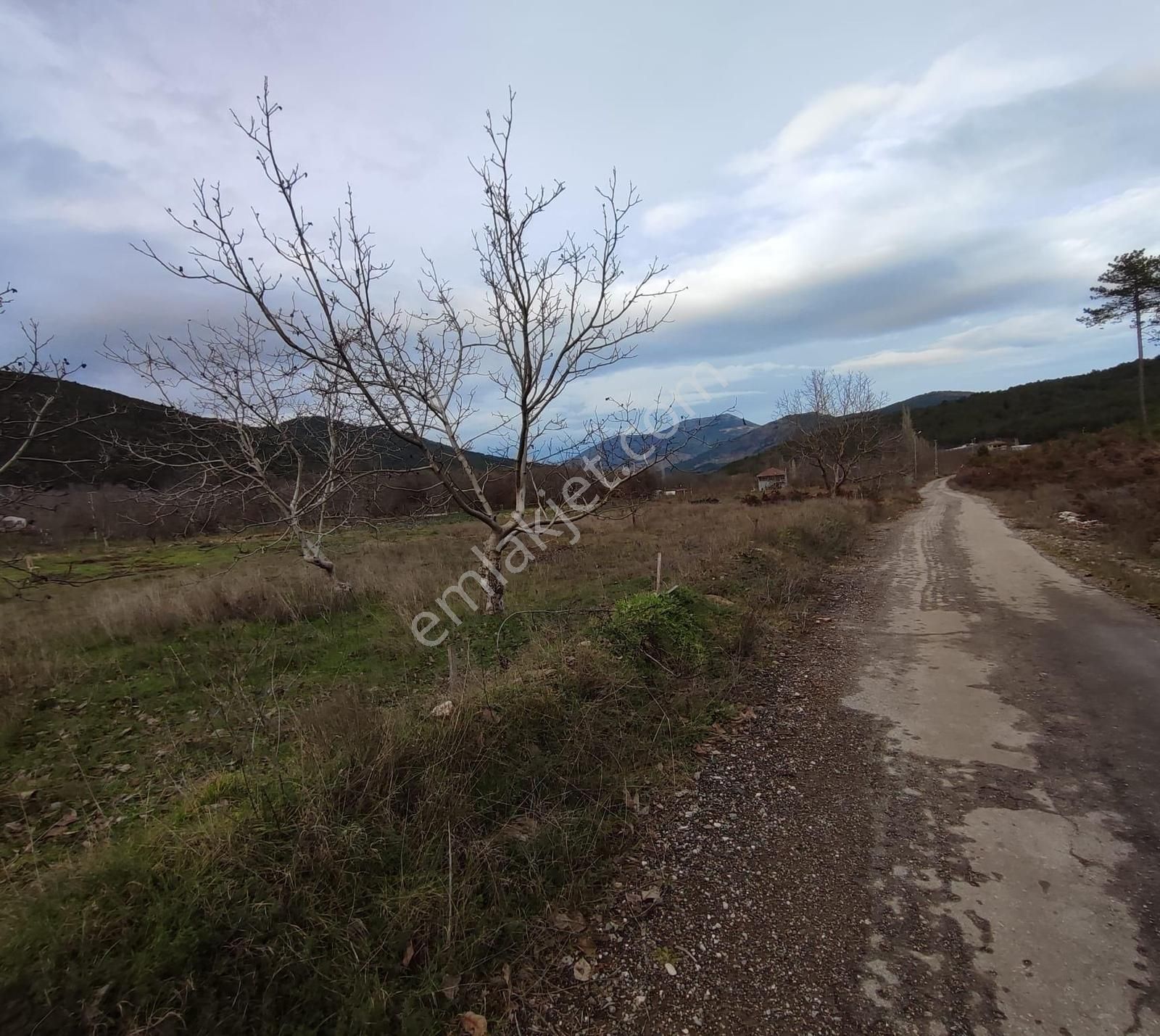 Bayındır Alankıyı'da 8500 M2 Yatırımlık Bahçe - Görsel 5