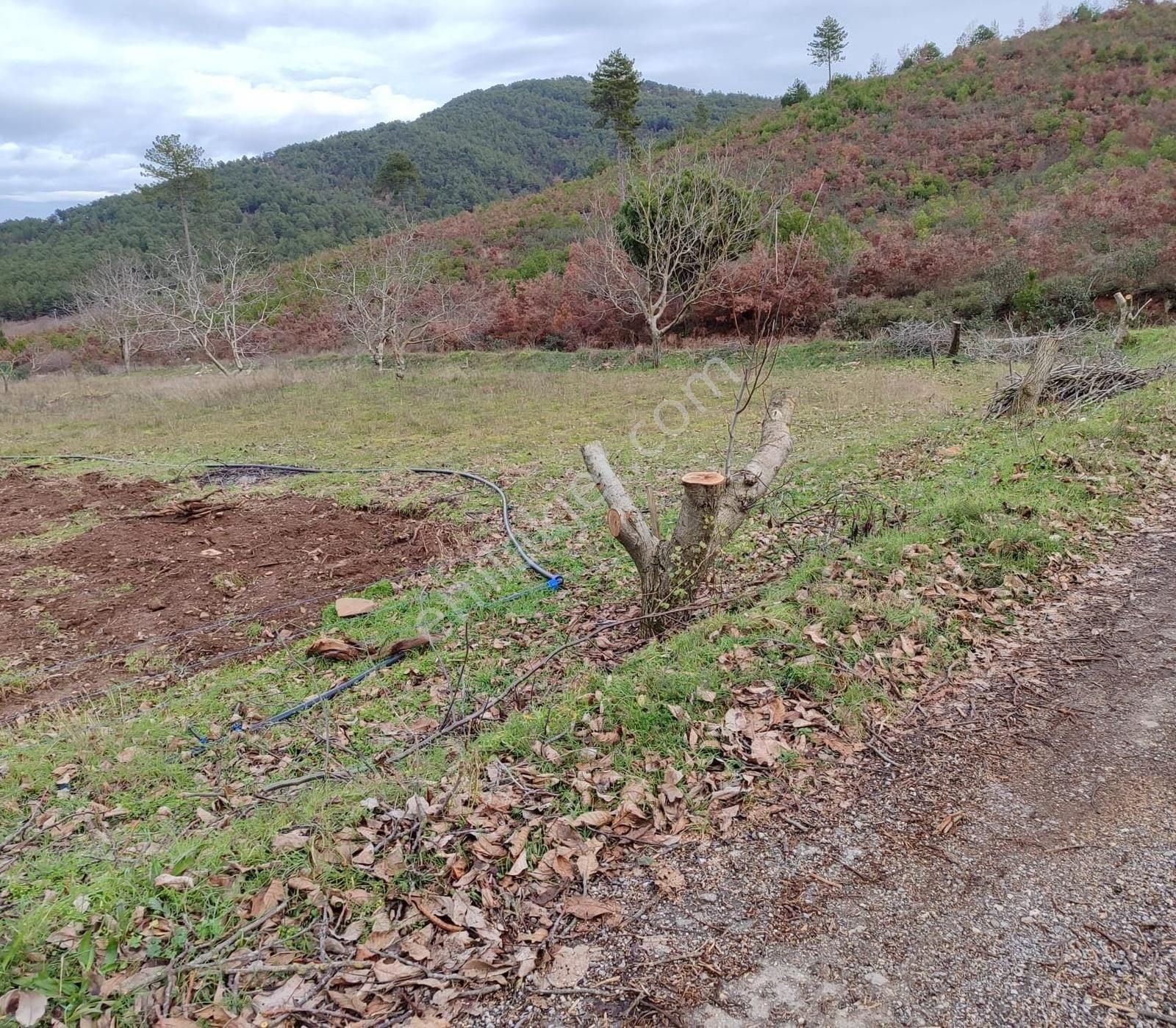 Bayındır Alankıyı'da 8500 M2 Yatırımlık Bahçe - Görsel 7