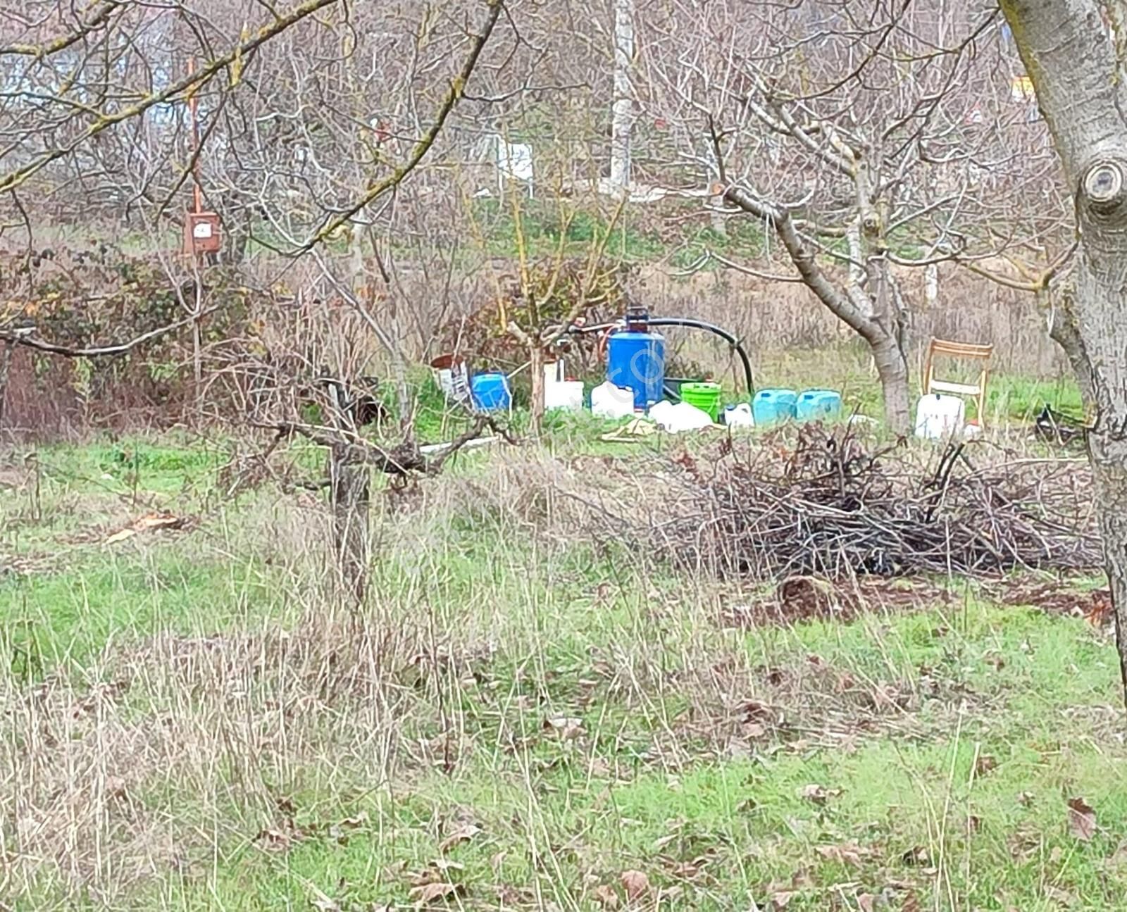 Bayındır Alankıyı'da 8500 M2 Yatırımlık Bahçe - Görsel 9