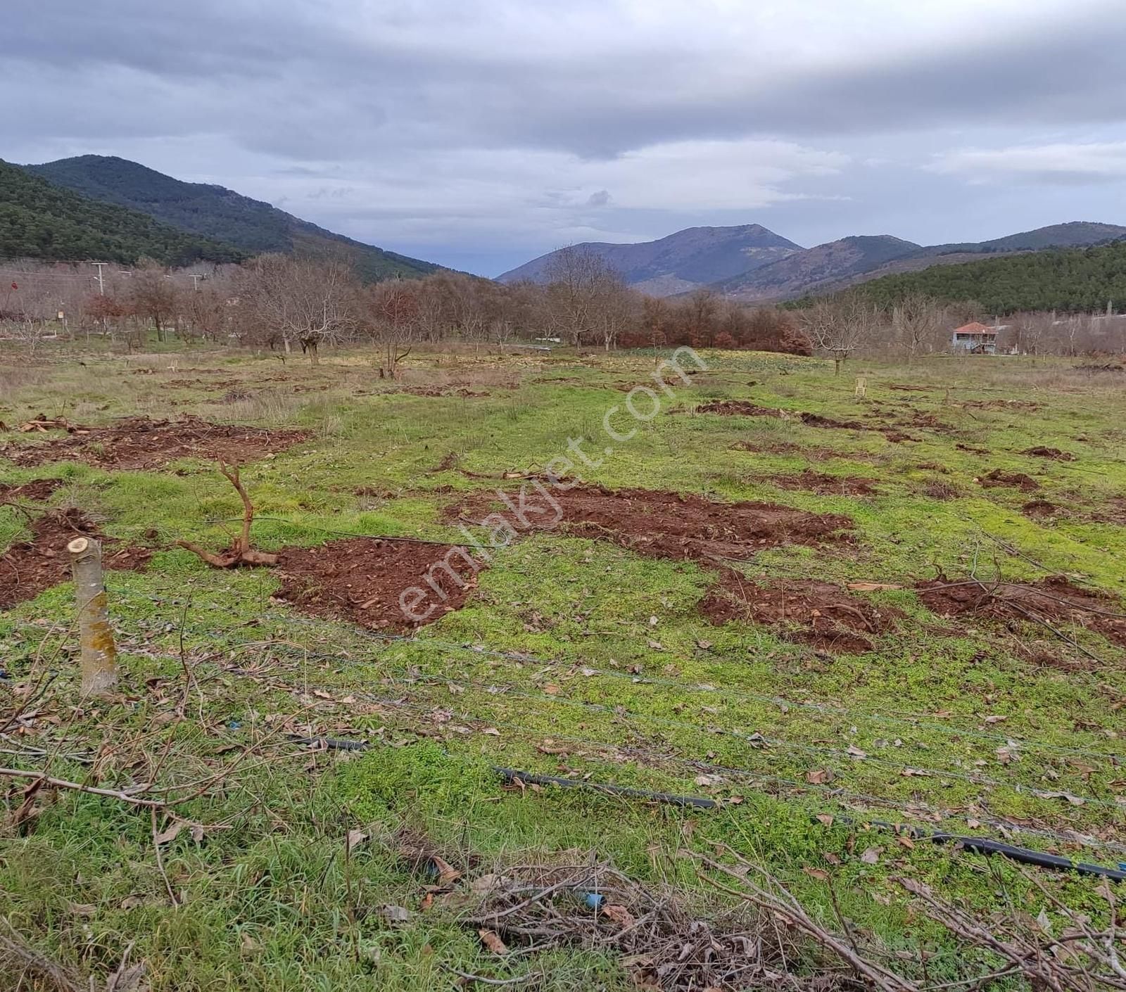 Bayındır Alankıyı'da 8500 M2 Yatırımlık Bahçe - Görsel 14