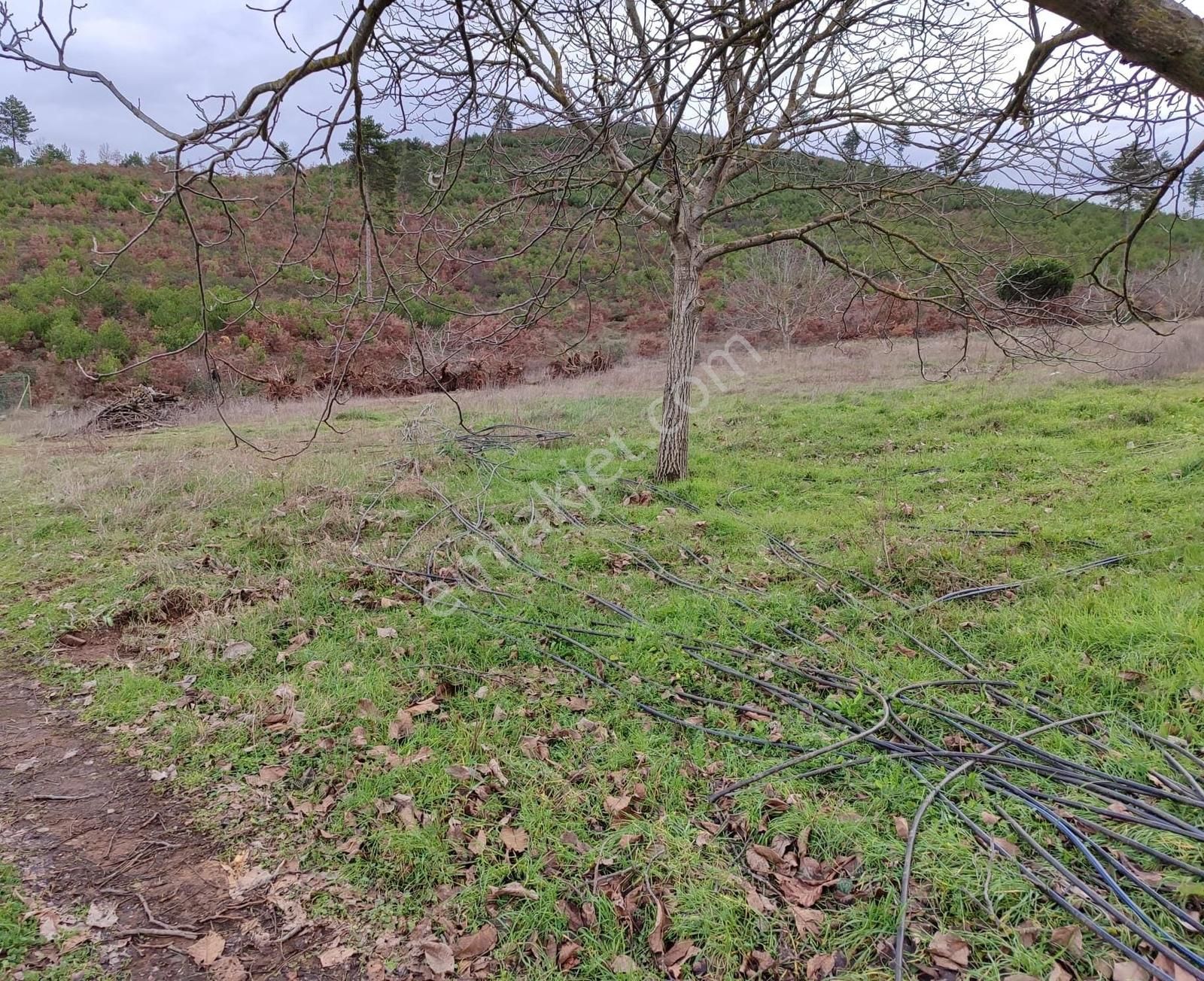 Bayındır Alankıyı'da 8500 M2 Yatırımlık Bahçe - Görsel 13