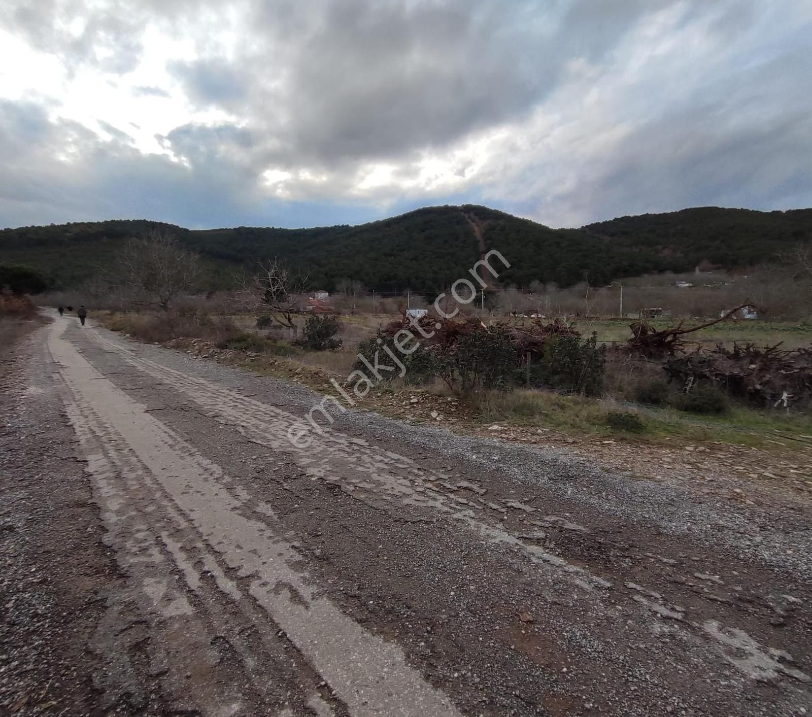 Bayındır Alankıyı'da 8500 M2 Yatırımlık Bahçe - Görsel 3