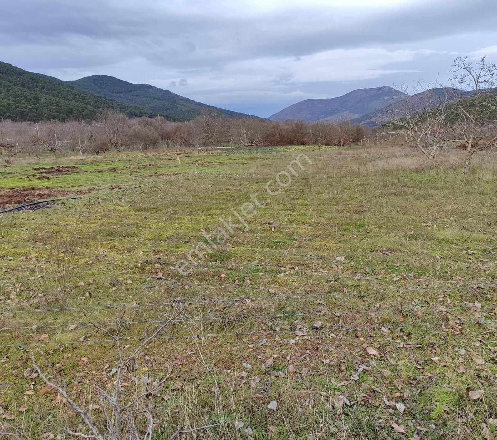 Bayındır Alankıyı'da 8500 M2 Yatırımlık Bahçe - Görsel 6