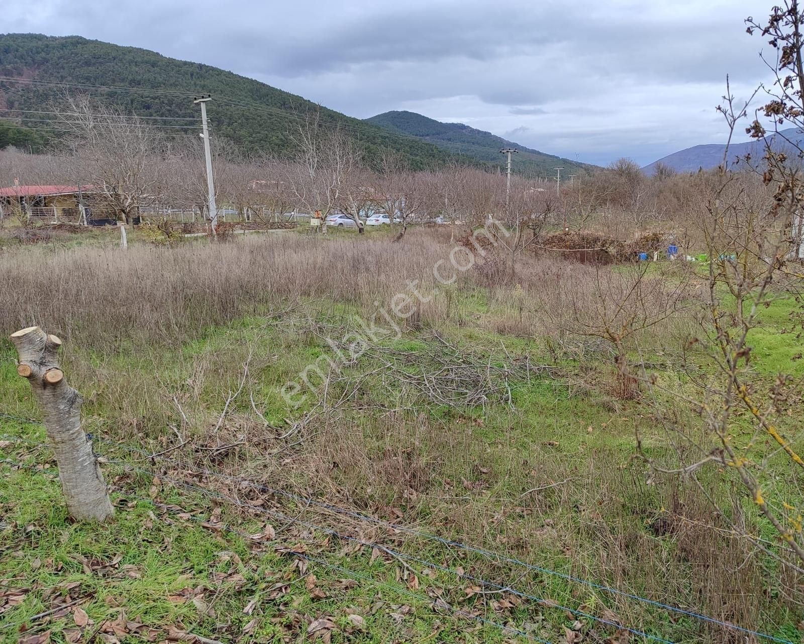 Bayındır Alankıyı'da 8500 M2 Yatırımlık Bahçe - Görsel 10