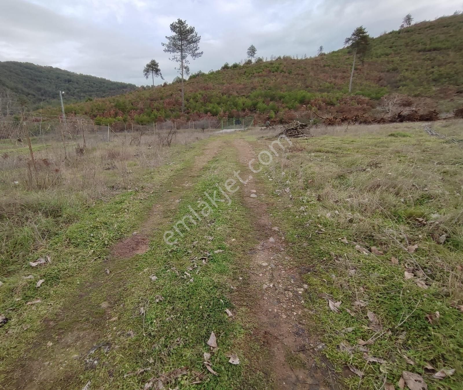 Bayındır Alankıyı'da 8500 M2 Yatırımlık Bahçe - Görsel 2