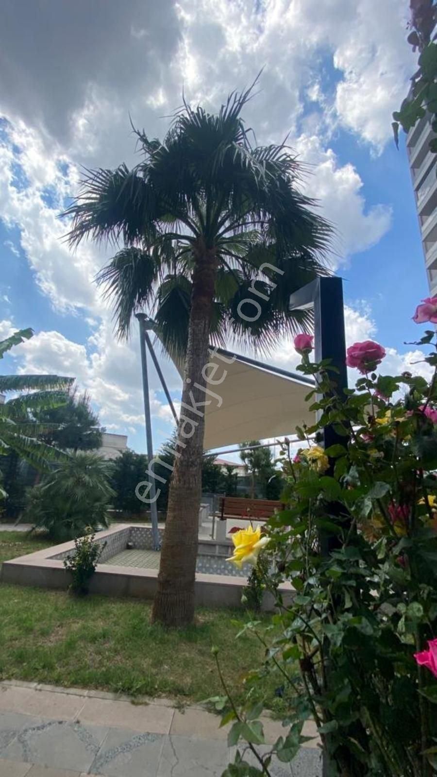 Yusuf Çağlı'dan Adana Yenikent Sabuncu'da Eşyalı Kiralık 1+1 - Görsel 5