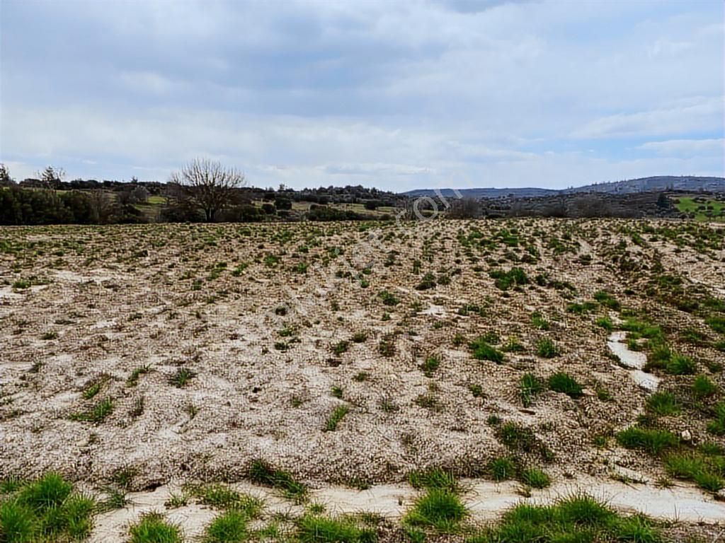 Milas -kuzyaka'da 46 Dönüm Organik Tarıma Uygun Tarla - Görsel 7