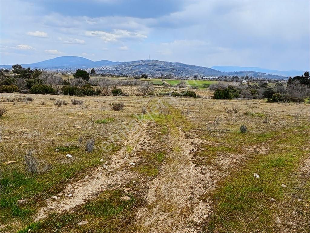 Milas -kuzyaka'da 46 Dönüm Organik Tarıma Uygun Tarla - Görsel 11