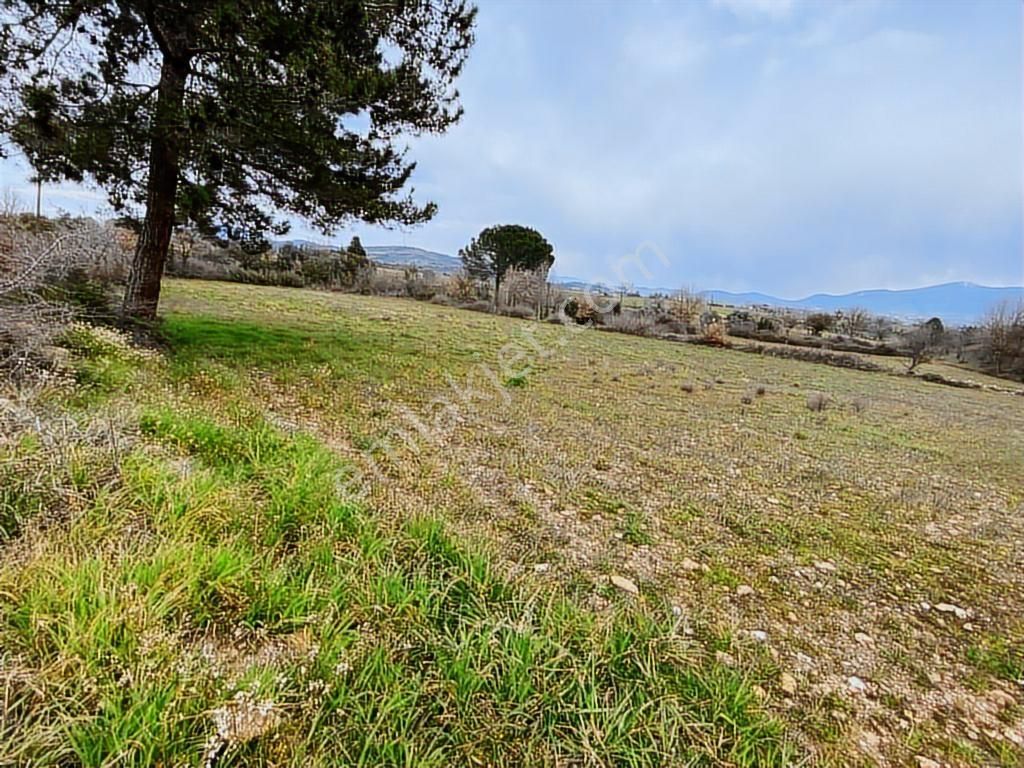 Milas -kuzyaka'da 46 Dönüm Organik Tarıma Uygun Tarla - Görsel 10