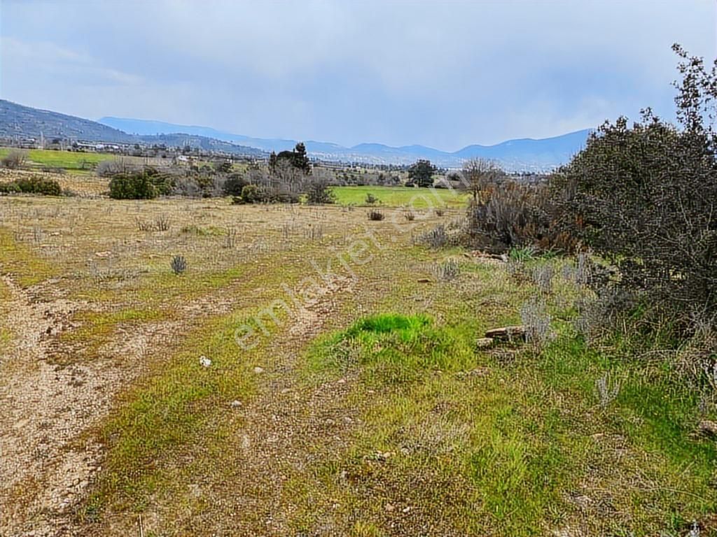 Milas -kuzyaka'da 46 Dönüm Organik Tarıma Uygun Tarla - Görsel 5