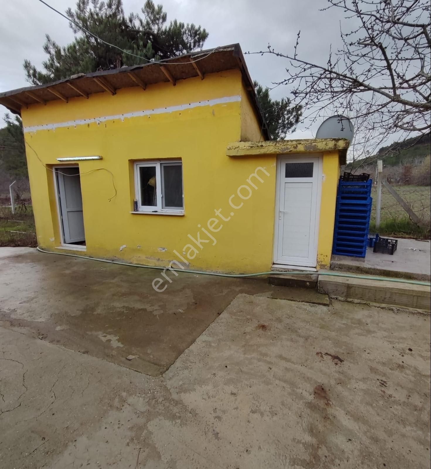 Alankıyı'da 986m2 İçinde Evi Ve Soğukhava Deposu Olan Bahçe - Görsel 10