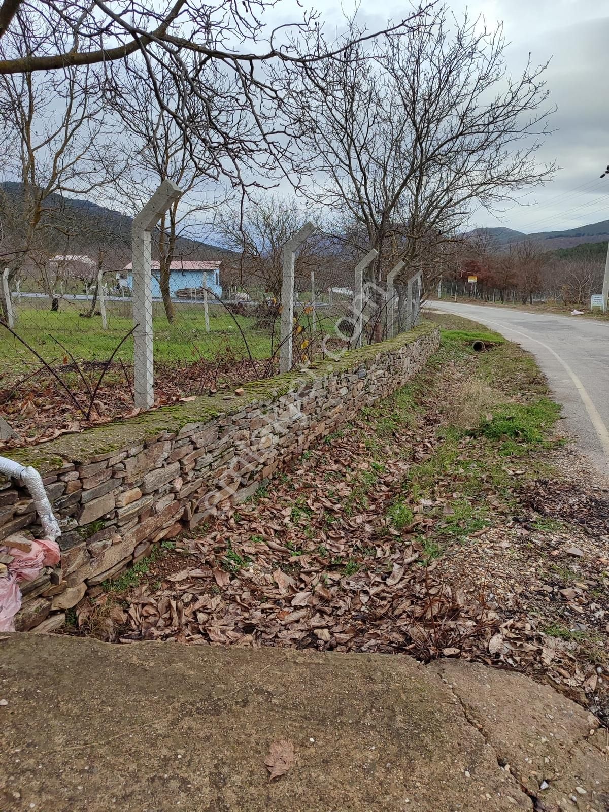 Alankıyı'da 986m2 İçinde Evi Ve Soğukhava Deposu Olan Bahçe - Görsel 12