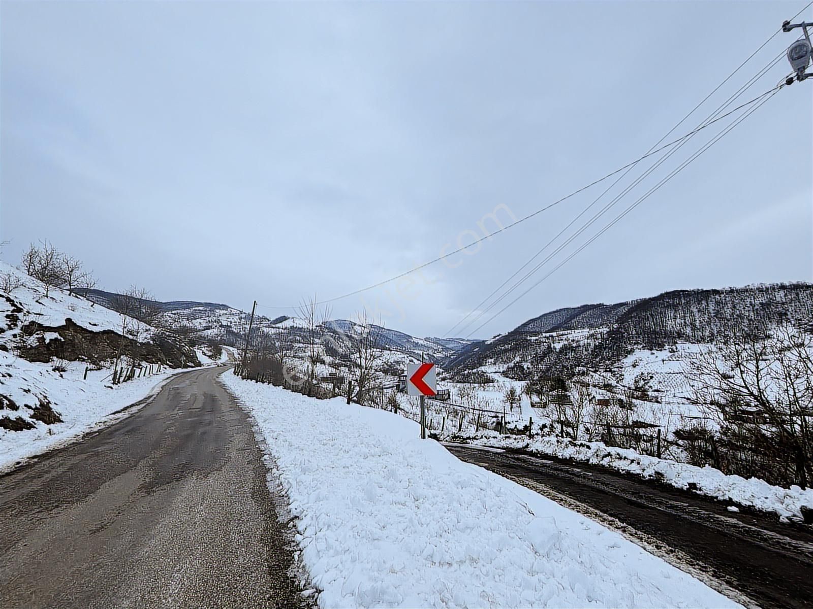 Canik Gölalan'da Doğa Manzaralı Satılık Tarla... - Görsel 3