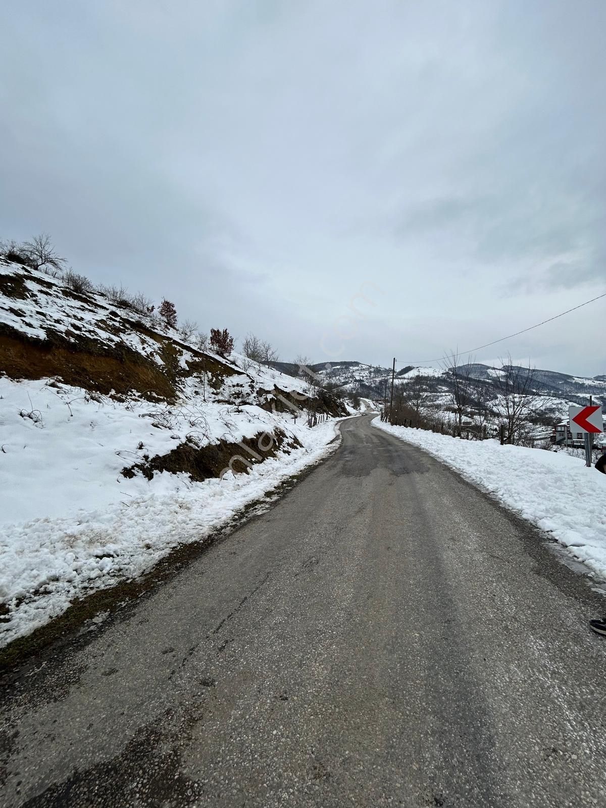 Canik Gölalan'da Doğa Manzaralı Satılık Tarla... - Görsel 13