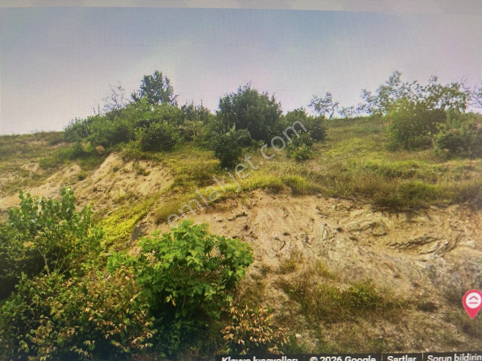 Canik Gölalan'da Doğa Manzaralı Satılık Tarla...