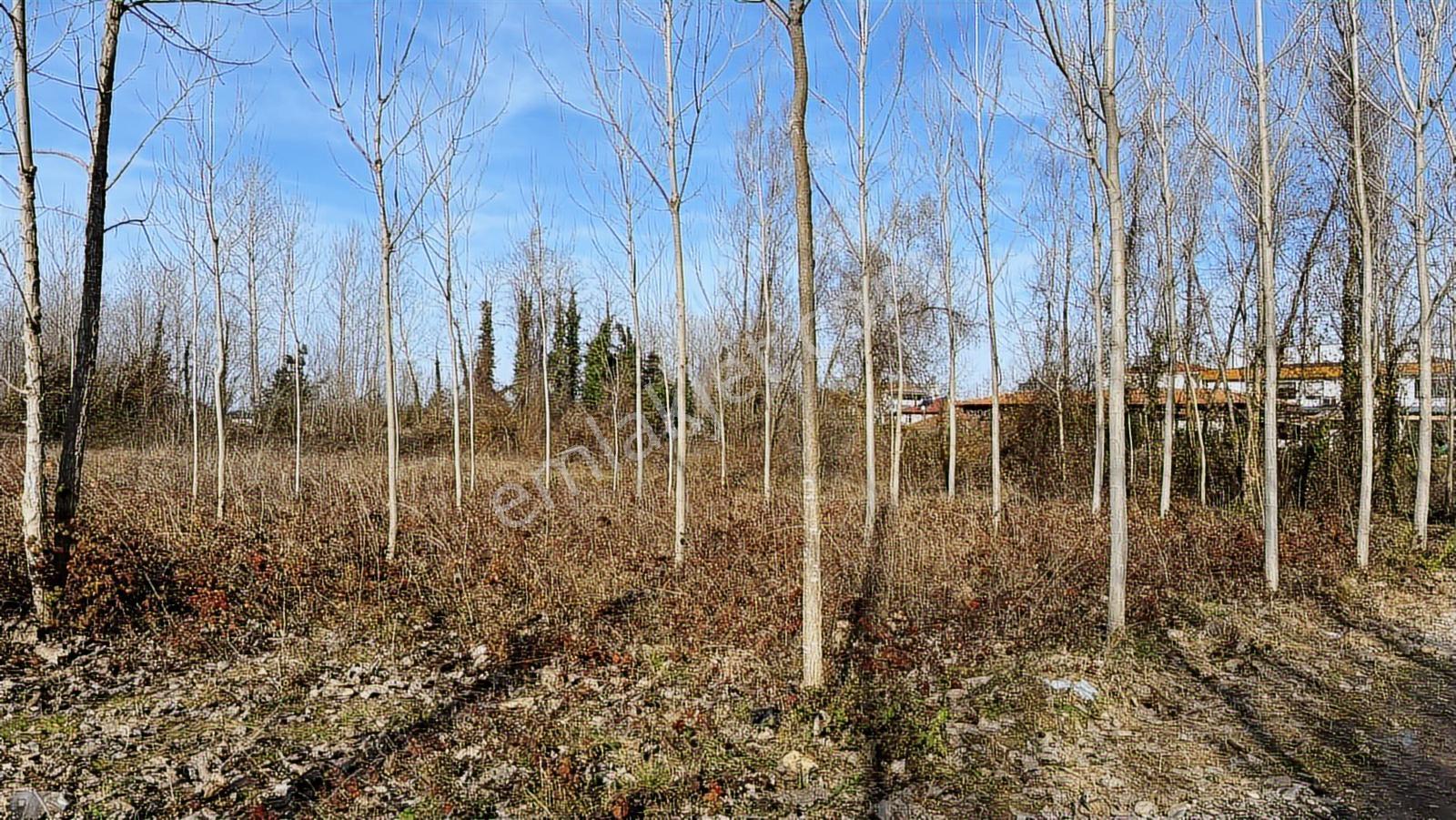 Promade Emlak'tan Dikbıyık Merkezde Satılık Arsalar - Görsel 21