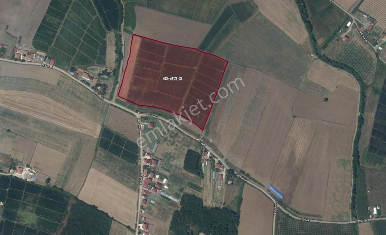 Promade Emlak'tan Tekkeköy Kahyalıda Yatırımlık Tarla... - Görsel 19