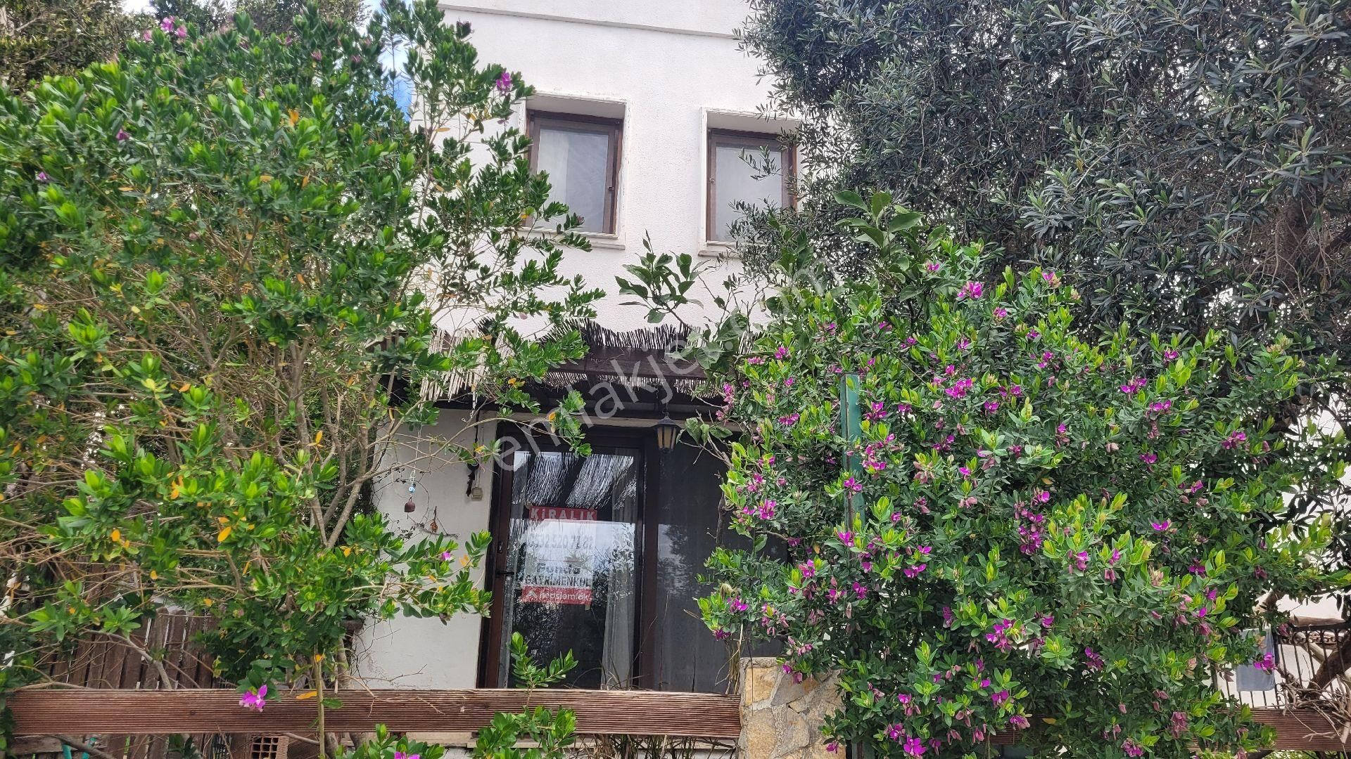 Gümüşlük Merkezde Kiralık - Görsel 2