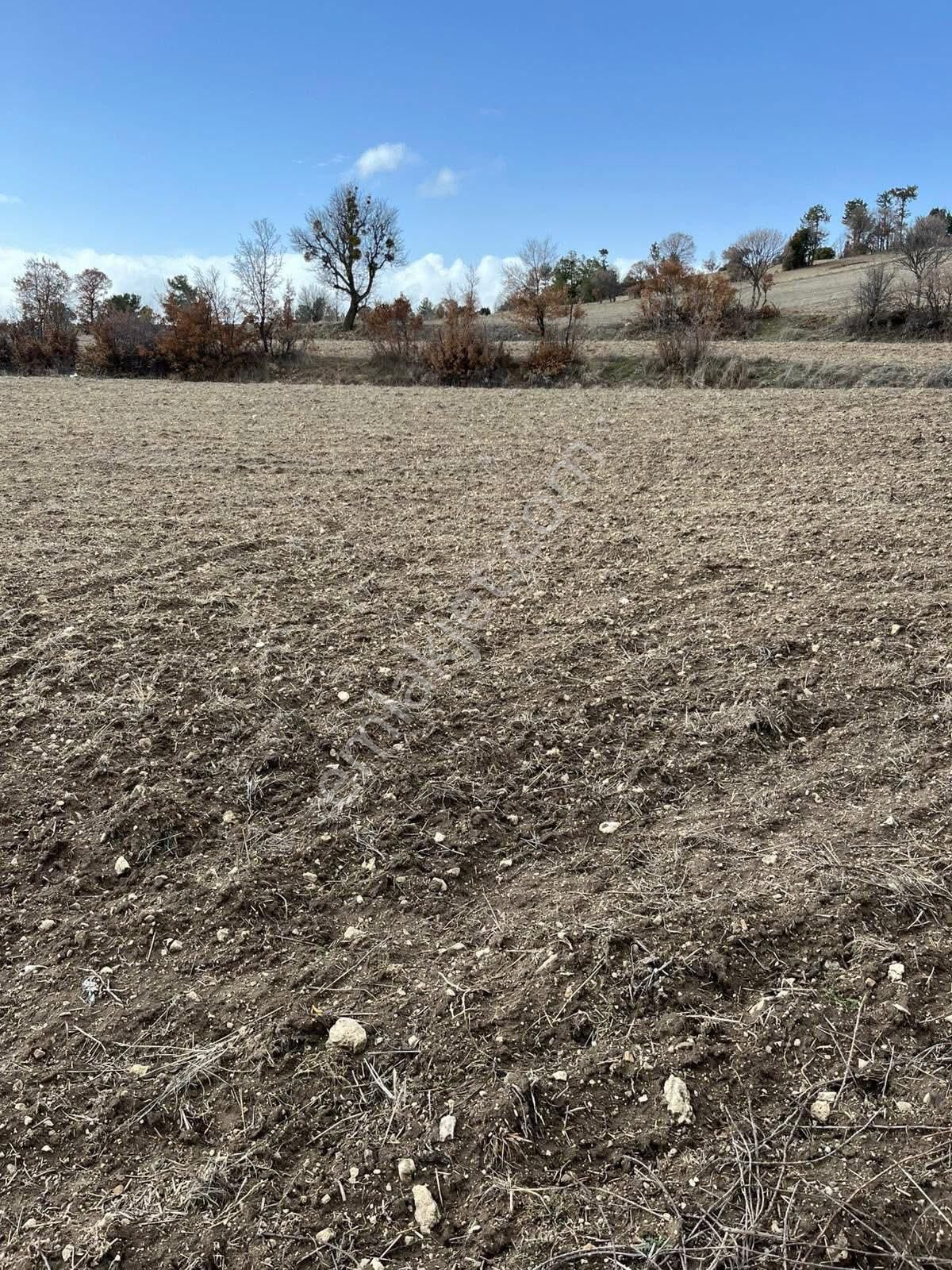 Prefabrik Ev İçin Uygun Acıpayamda Bizden Ucuza Yok..