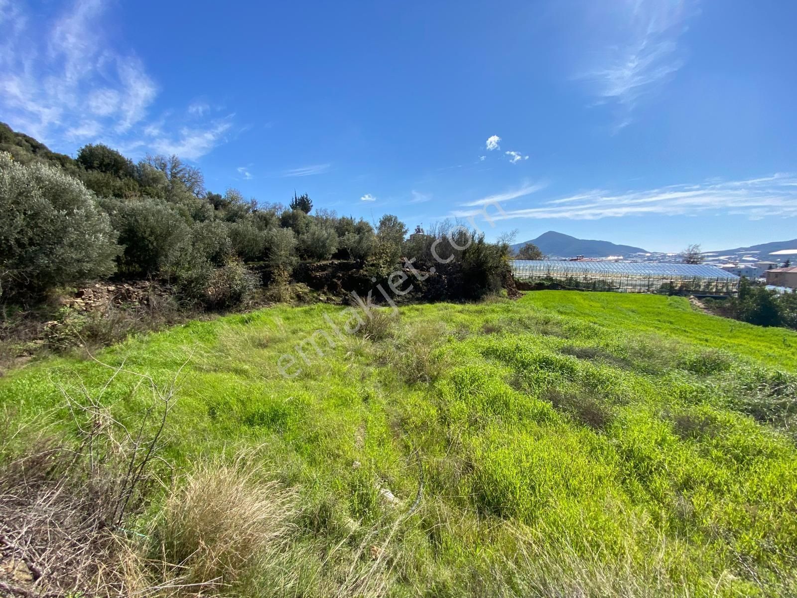 Korubaşında Yola Sıfır 2.277 M² Yatırımlık Tarla - Görsel 16