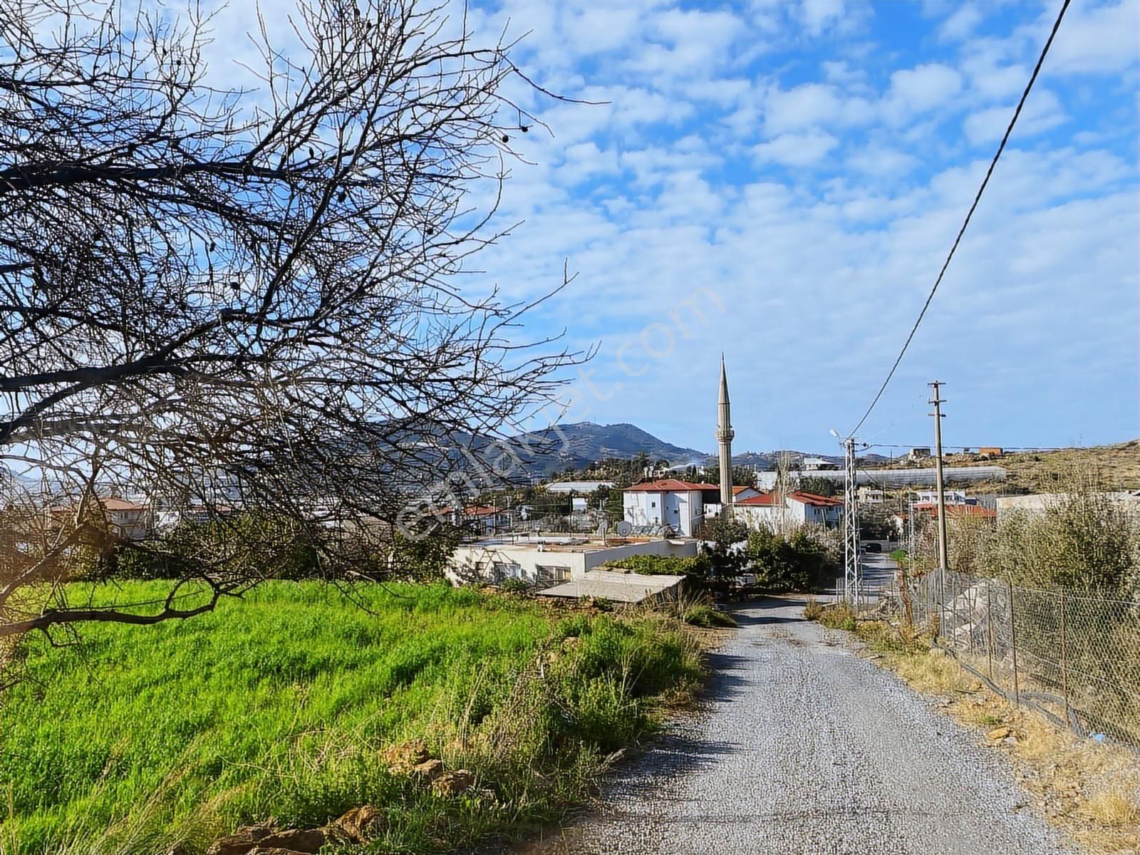 Korubaşında Yola Sıfır 2.277 M² Yatırımlık Tarla - Görsel 2