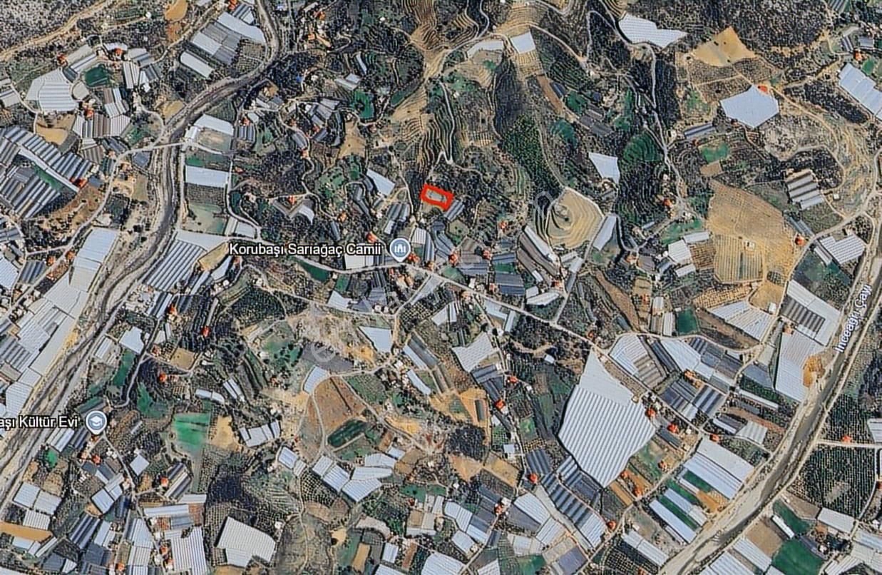 Korubaşında Yola Sıfır 2.277 M² Yatırımlık Tarla - Görsel 9