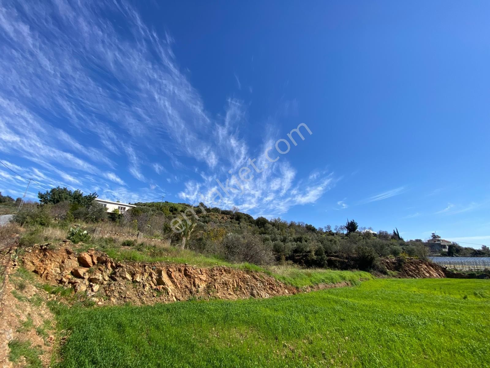 Korubaşında Yola Sıfır 2.277 M² Yatırımlık Tarla - Görsel 3