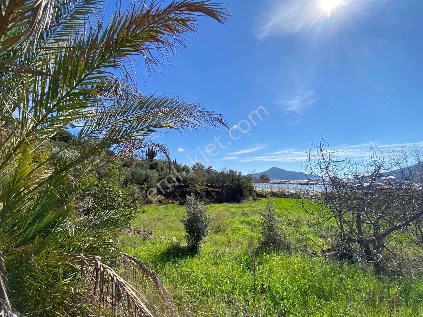 Korubaşında Yola Sıfır 2.277 M² Yatırımlık Tarla - Görsel 11