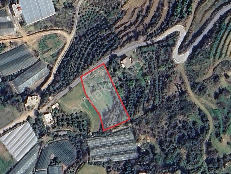 Korubaşında Yola Sıfır 2.277 M² Yatırımlık Tarla - Görsel 8