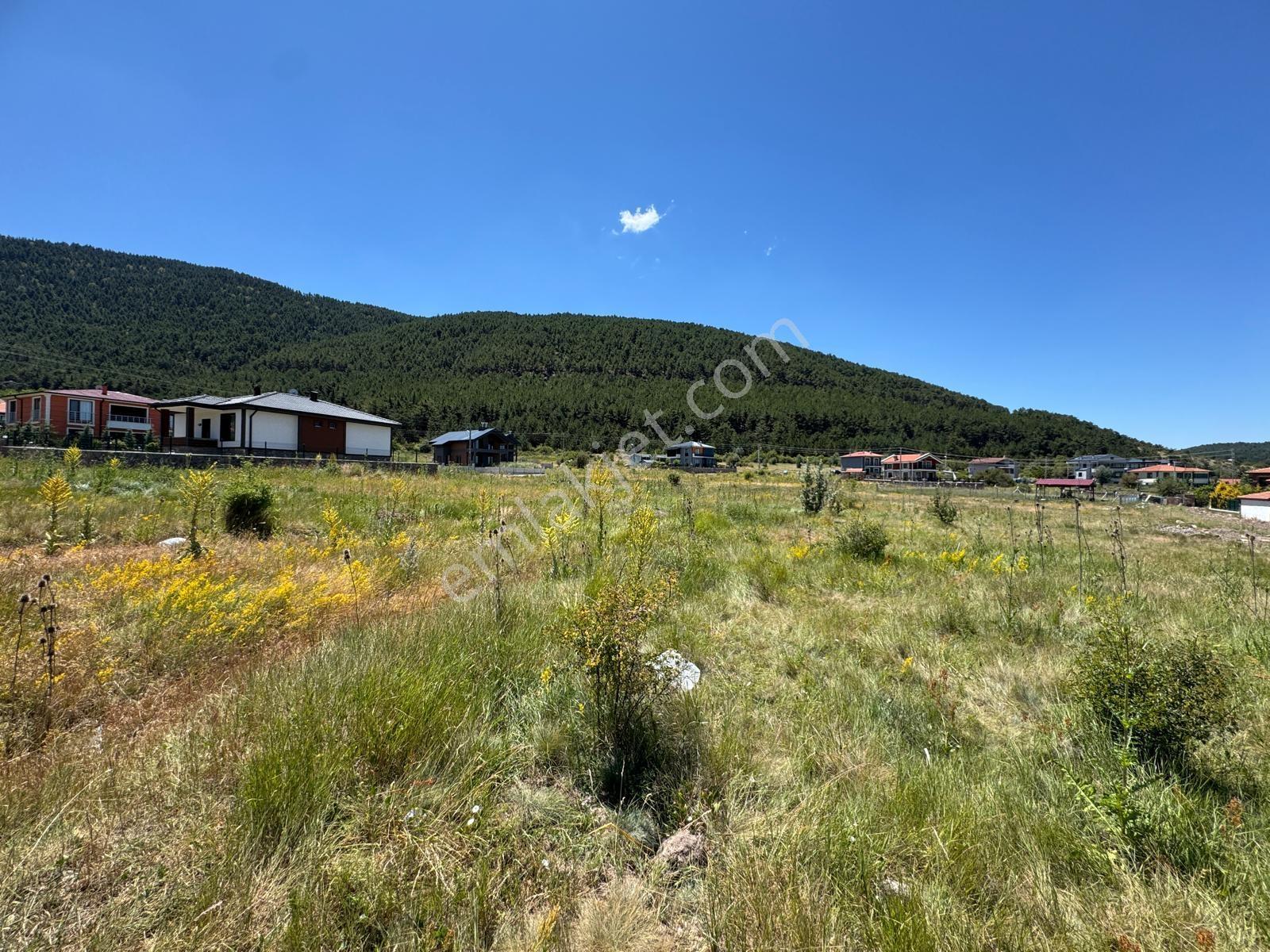 Çamlıdere Yaylasında Gölet Manzaralı Tek Tapu Villa Parseli - Görsel 2