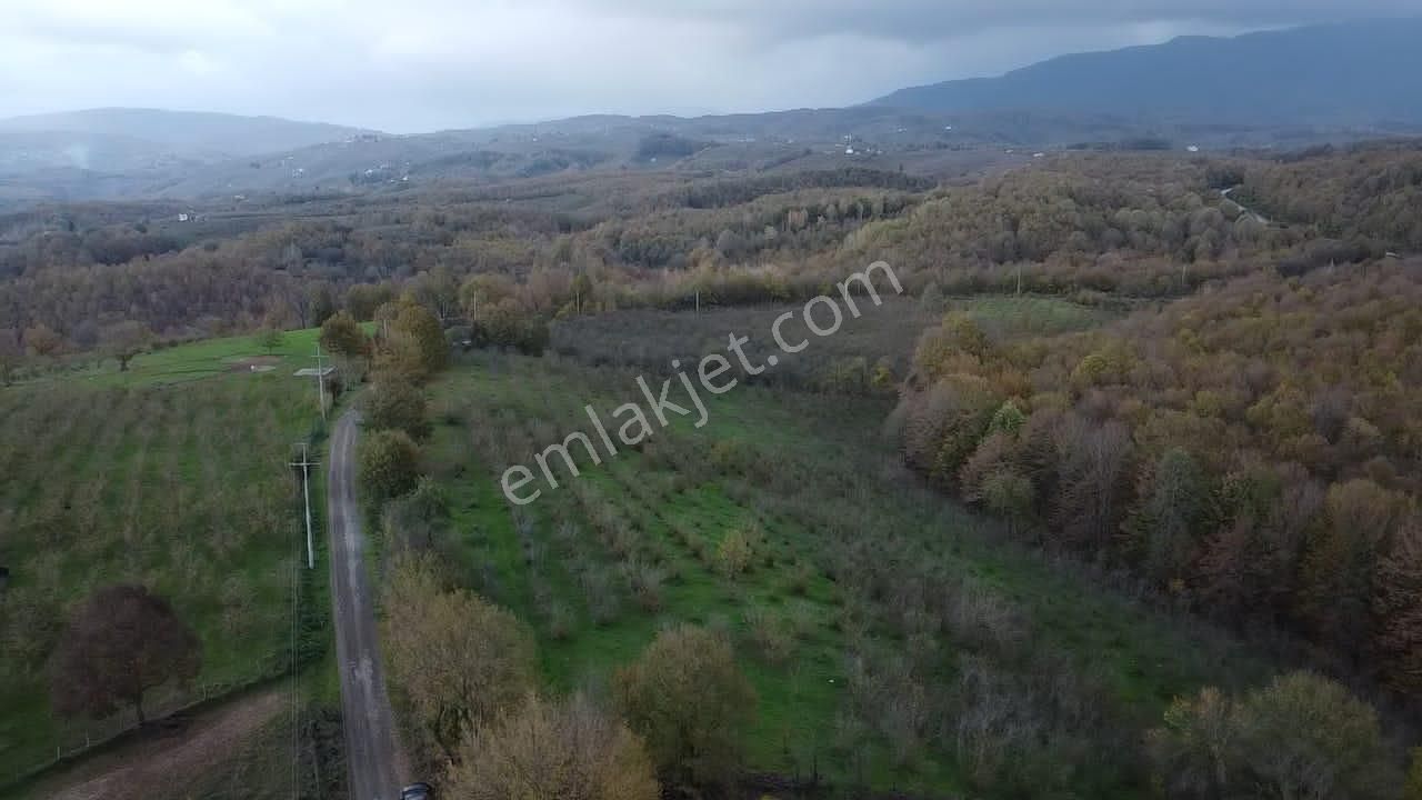 Hendek Balıklı'da Yatırımlık Yola Cepheli Arazi