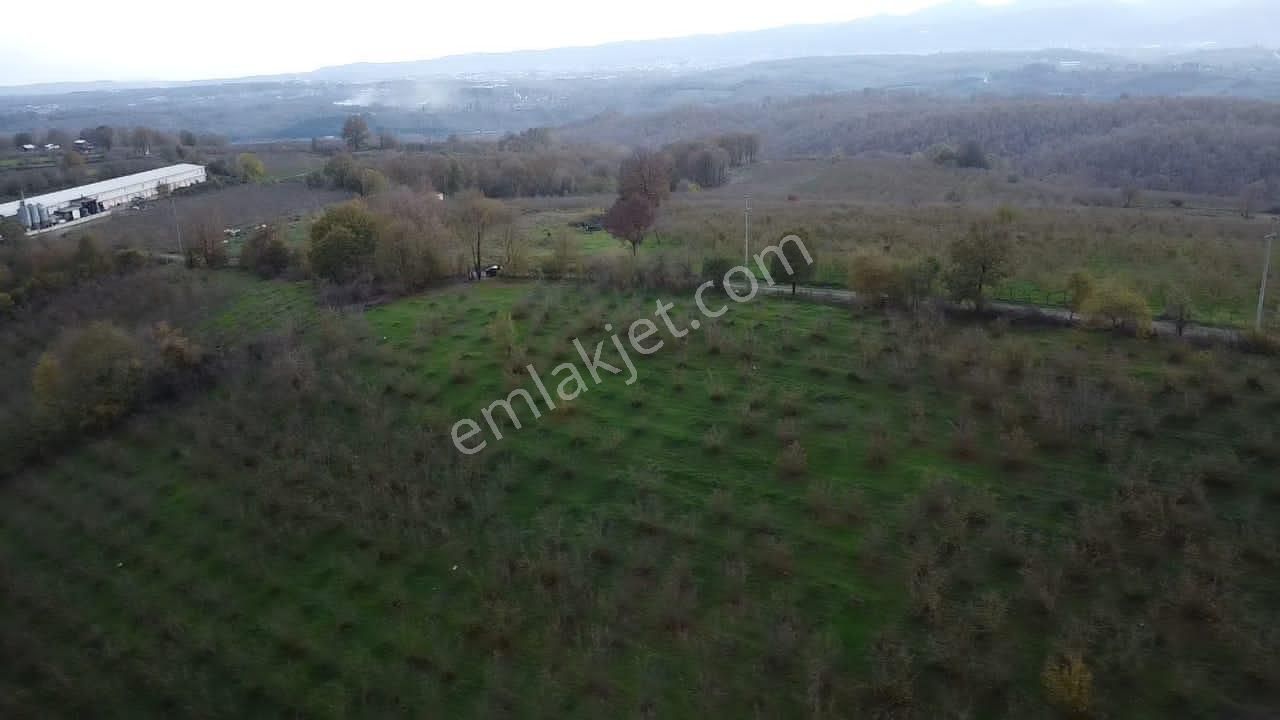 Hendek Balıklı'da Yatırımlık Yola Cepheli Arazi - Görsel 2