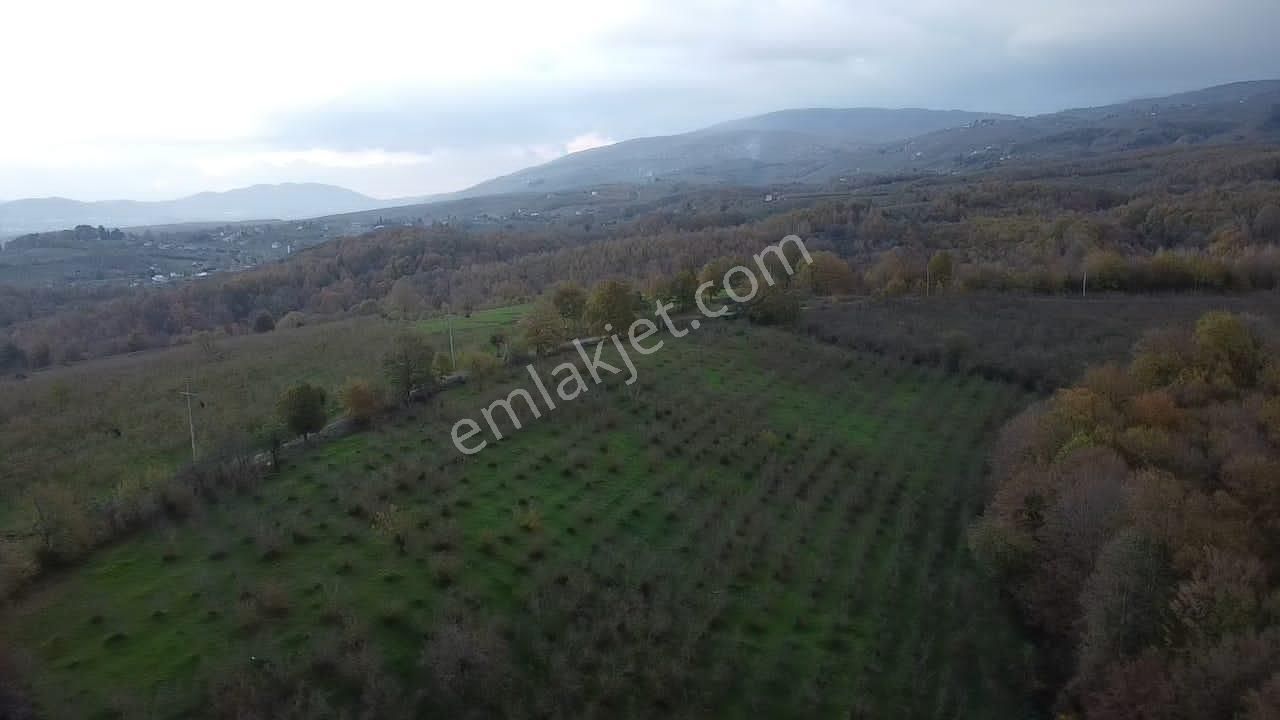 Hendek Balıklı'da Yatırımlık Yola Cepheli Arazi - Görsel 4