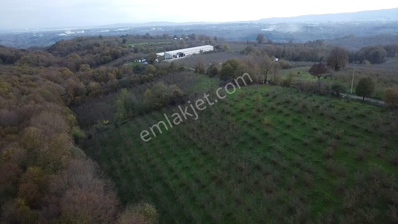 Hendek Balıklı'da Yatırımlık Yola Cepheli Arazi - Görsel 12
