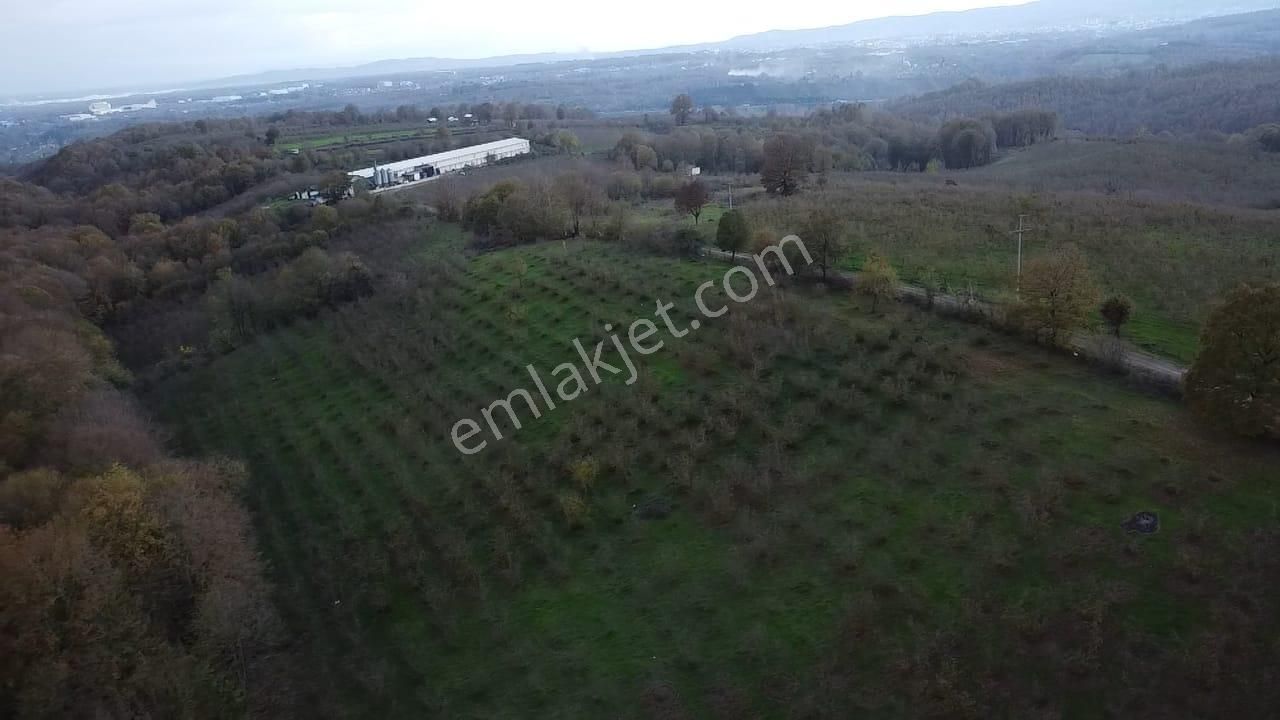 Hendek Balıklı'da Yatırımlık Yola Cepheli Arazi - Görsel 5