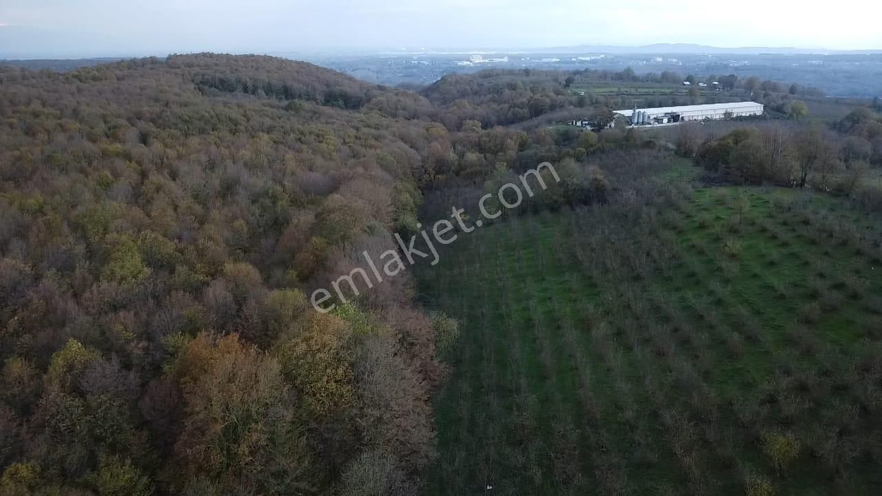 Hendek Balıklı'da Yatırımlık Yola Cepheli Arazi - Görsel 9