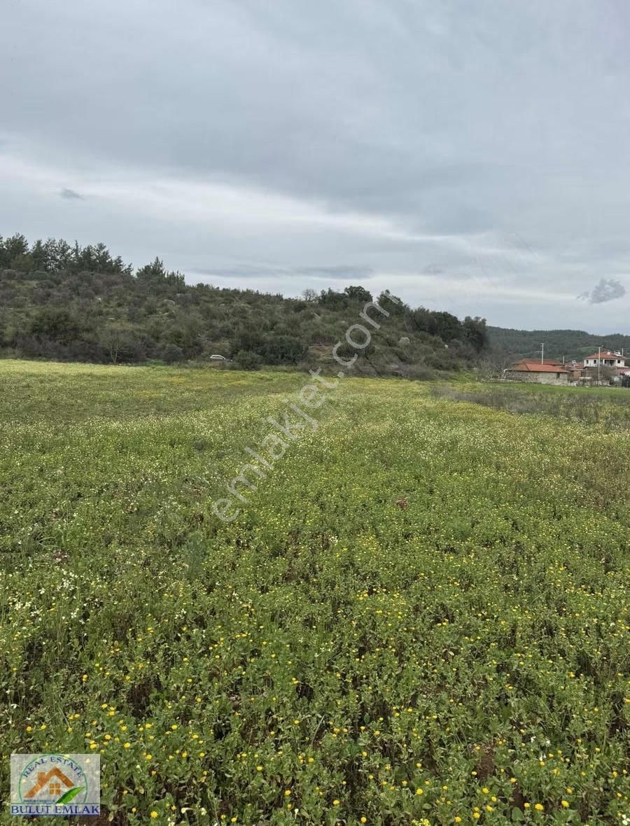 Bulut Emlak Ula Esentepe'de 2.983 M2 Satılık Tarla