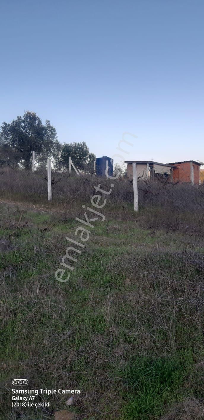 Buca Belenbaşında Satılık 224m2 Yola Yakın Etrafı Çevrili Rızai Taksimi Yapılmış Tapulu Tarla