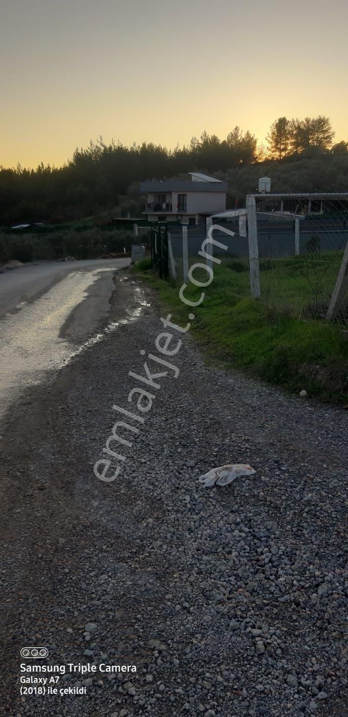 Buca Belenbaşında Satılık 224m2 Yola Yakın Etrafı Çevrili Rızai Taksimi Yapılmış Tapulu Tarla - Görsel 3