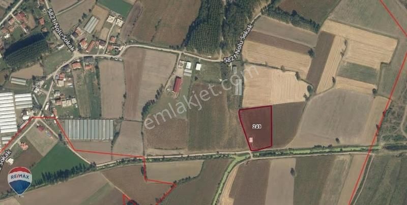 Sakarya Adapazarı Yeşilyurt Ta Yola Cepheli Satılık Tarla Ve Ev - Görsel 20