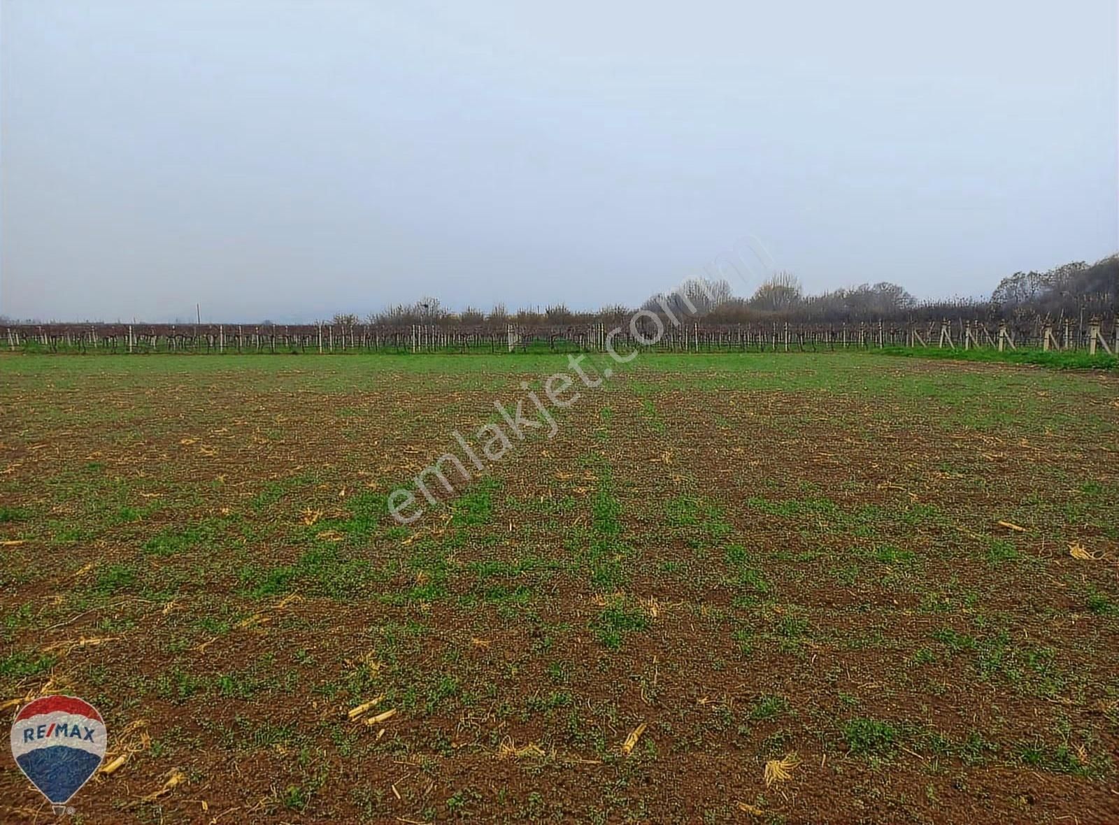 Remax Mavi Erol Çekcan Dan Pamukova İsabalıda Satılık Arazi.