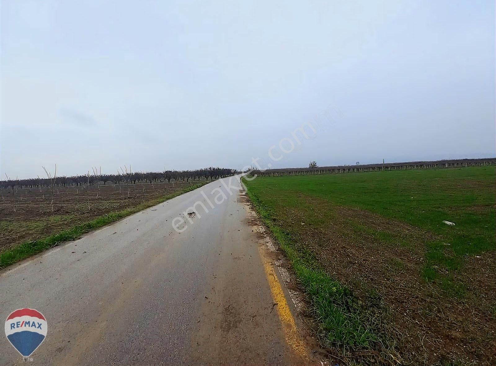 Remax Mavi Erol Çekcan Dan Pamukova İsabalıda Satılık Arazi. - Görsel 3