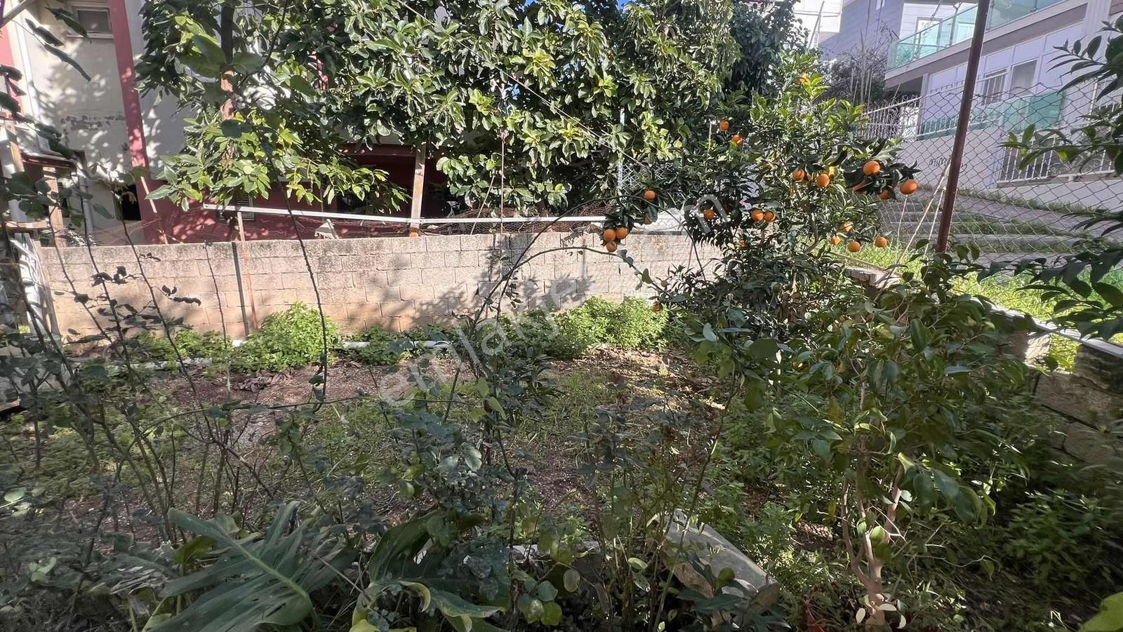 İnfo Gayrimenkulden 120m2 2+1 Kiralık Daire - Görsel 4