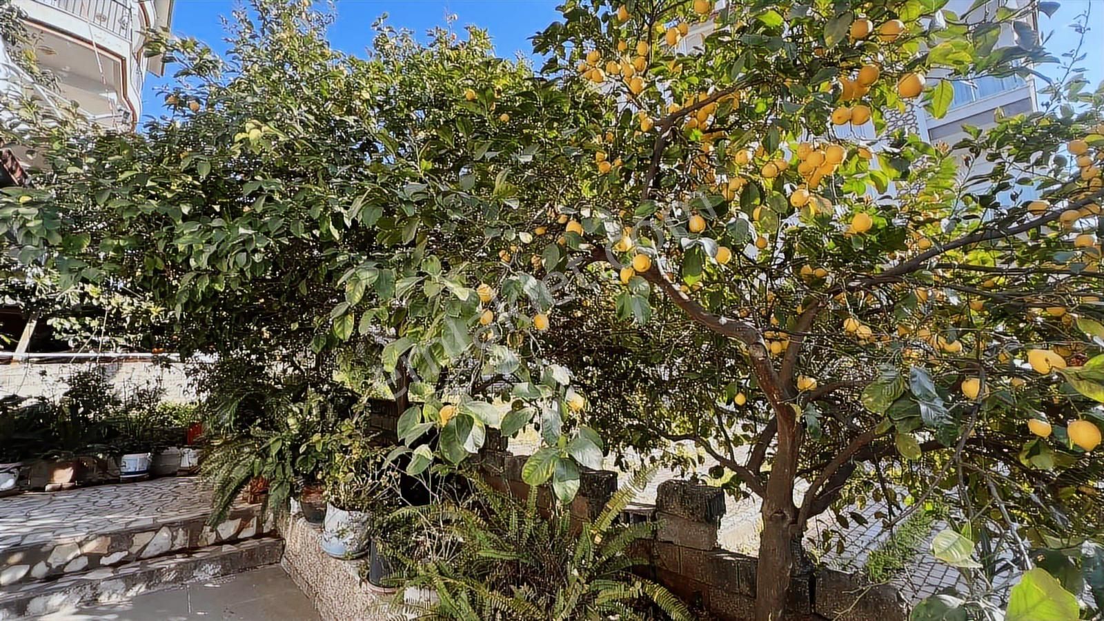 İnfo Gayrimenkulden 120m2 2+1 Kiralık Daire - Görsel 22