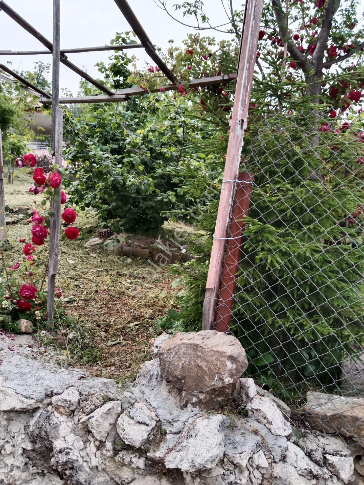 Yusuf Çağlı'dan Mersin Gözne Yaylasında Satılık Bahçe - Görsel 3